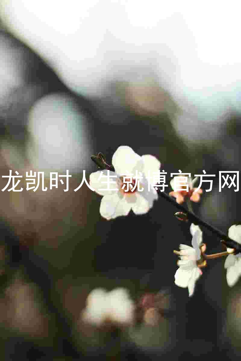 尊龙凯时人生就博官方网站