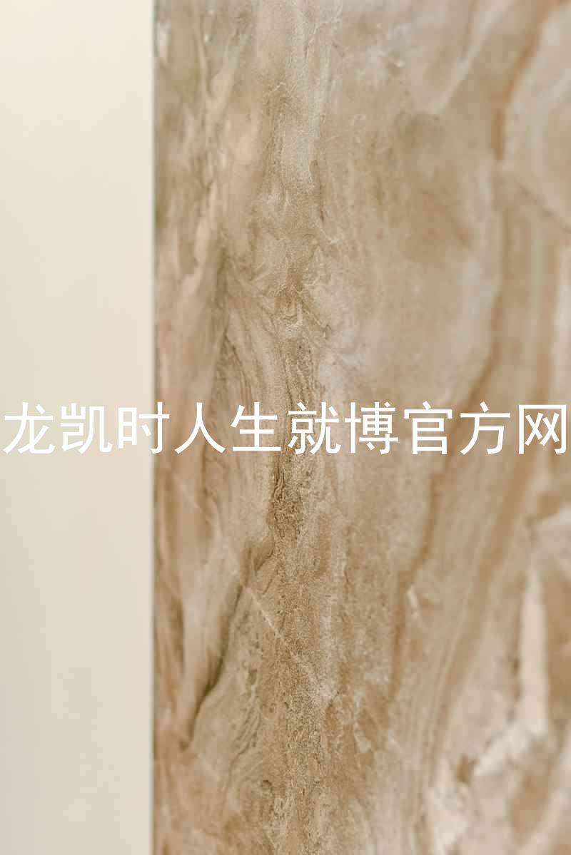 尊龙凯时人生就博官方网站