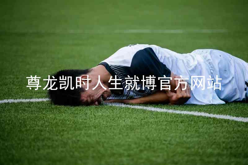 尊龙凯时人生就博官方网站