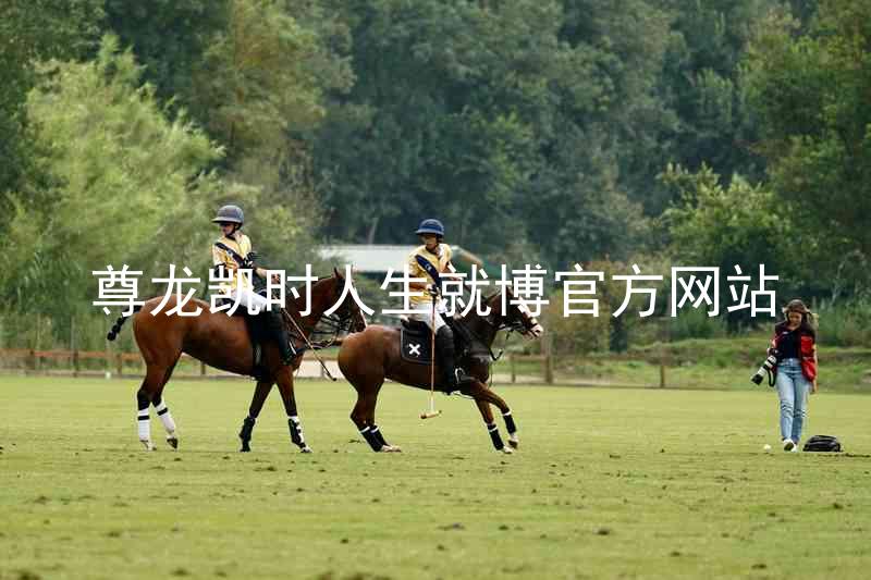 尊龙凯时人生就博官方网站
